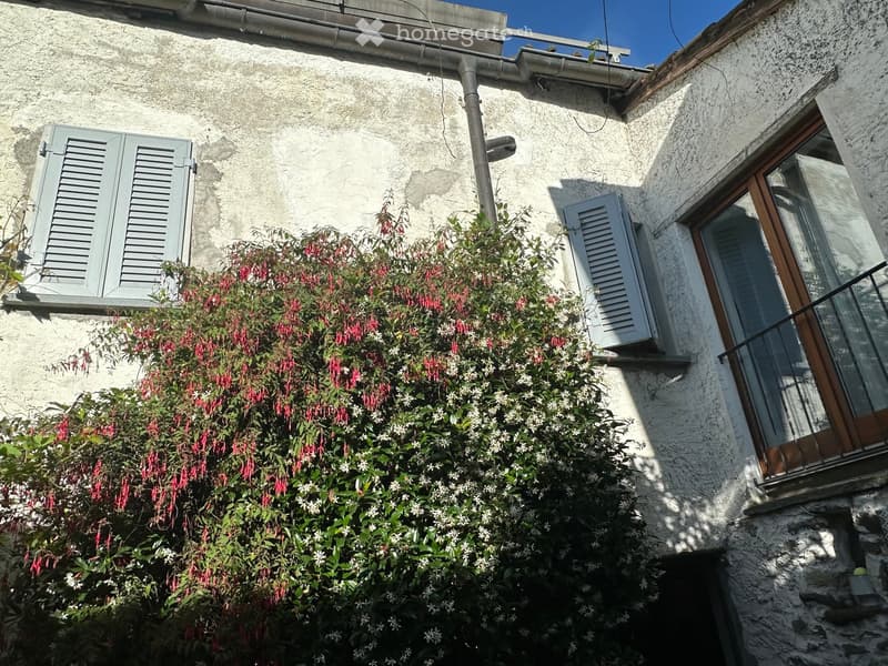 white stucco wall, two windows with shutters, balcony with railing, flowering bush