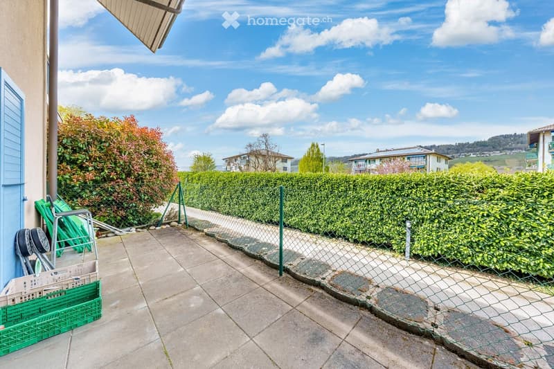 tiled floor, green fence, hedge, storage boxes, clear sky