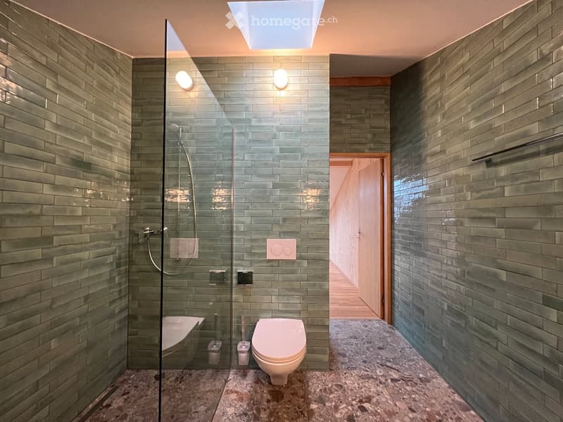 Bathroom with green tiles, glass shower enclosure, toilet, wooden door, and a small sink.
