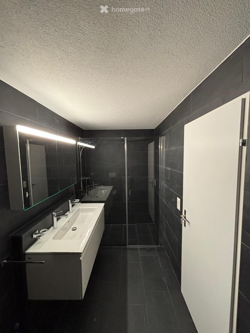 modern bathroom, black tiles, white sink, mirror, glass shower, white door