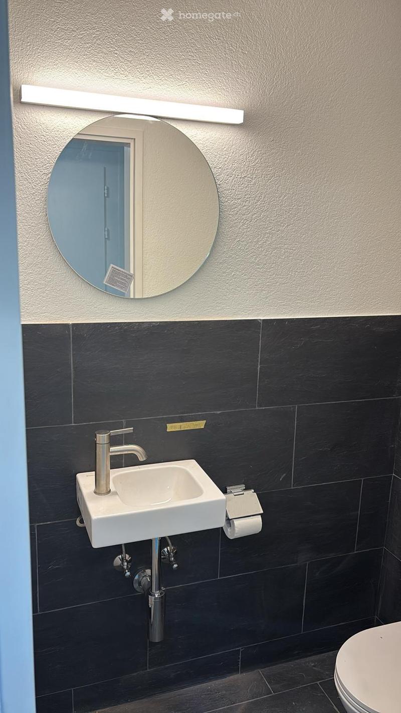 white sink, silver faucet, dark grey tiled walls, mirror, toilet, toilet paper roll