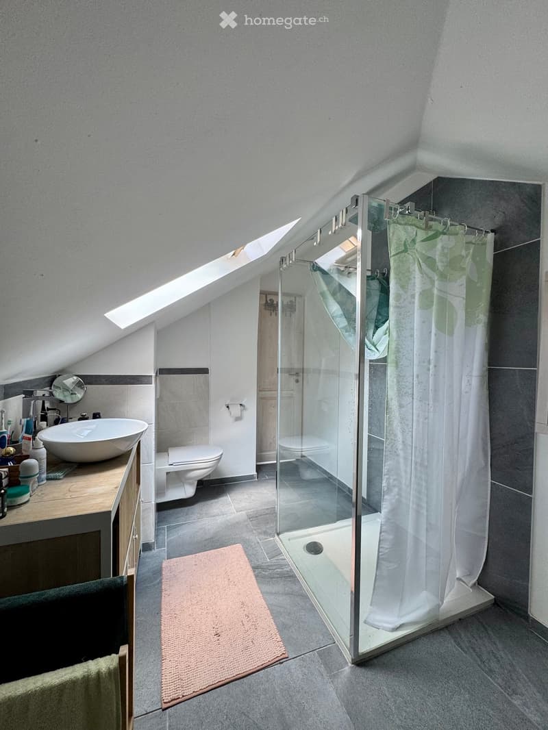 Bathroom with a glass shower, white sink, wooden vanity, white toilet, and a pink rug.