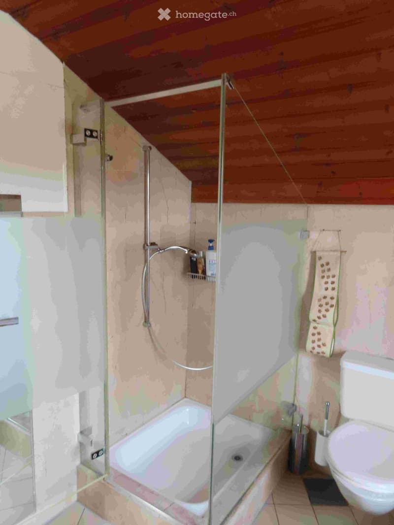 Bathroom with a glass shower enclosure, a bathtub, a toilet, and a towel rack.