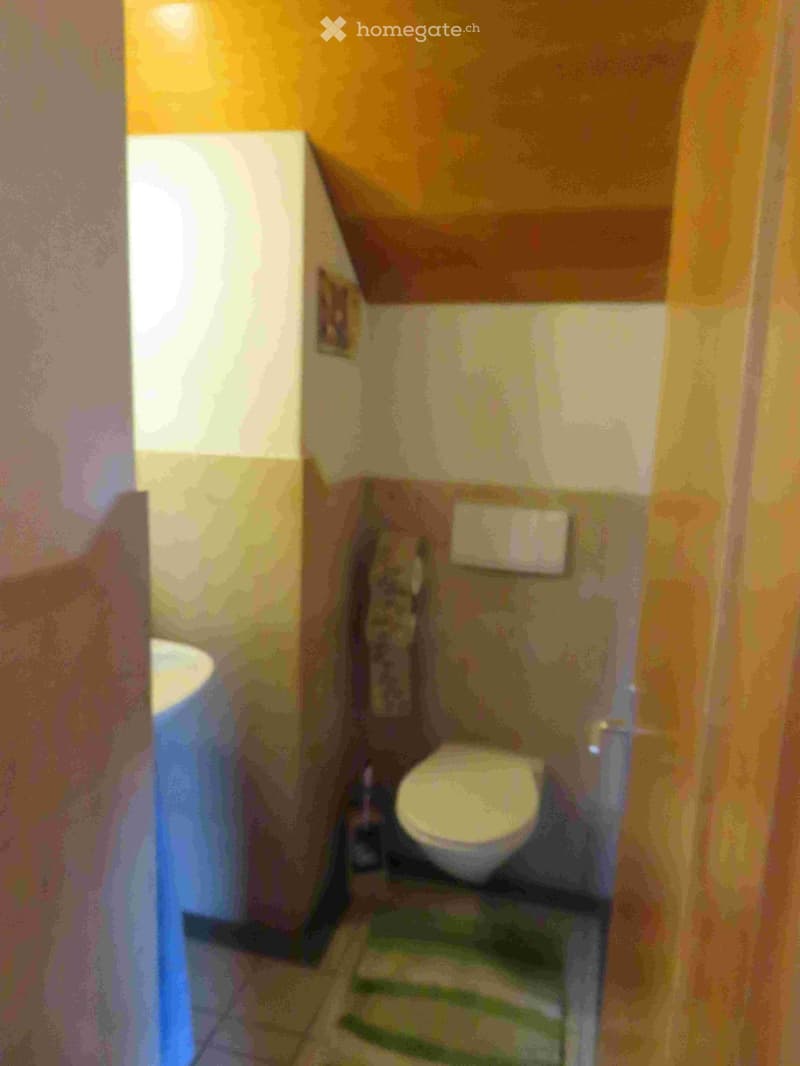 small bathroom with toilet, sink, and a rug