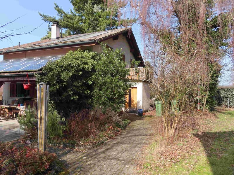 Detached house, solar panels on the roof, wooden door, brick pathway, garden, trees