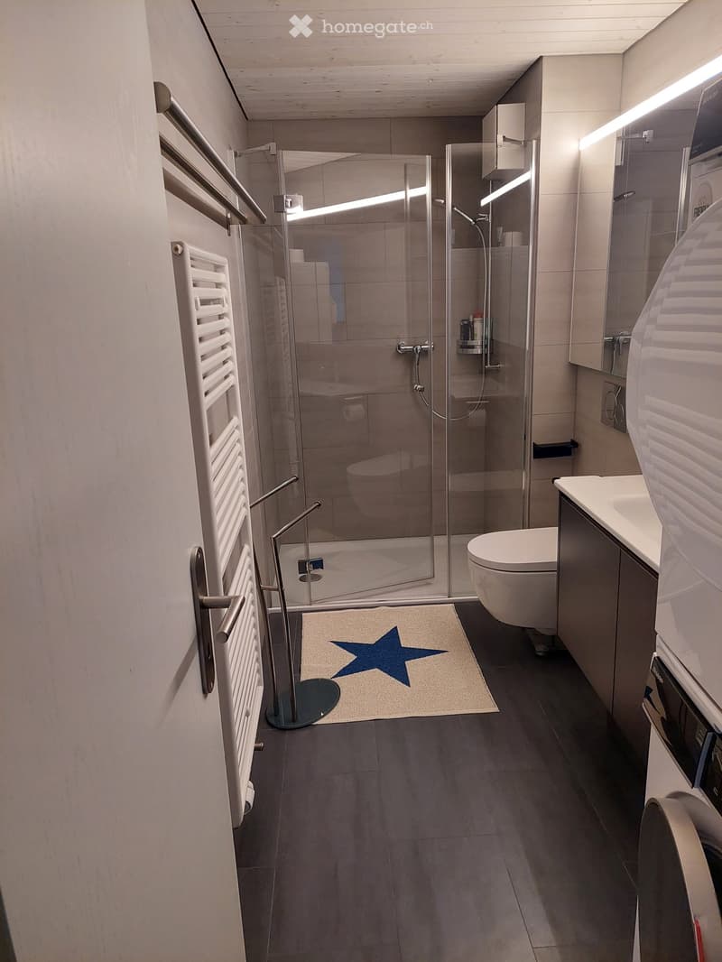 modern bathroom with glass shower, white toilet, sink, washing machine, towel rack, rug