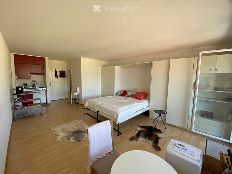 Modern bedroom with white wooden floor, a bed with white bedding and red pillows, two fur rugs, round white table, two white chairs, white kitchen units, shelving units, glass cabinet, and small white table