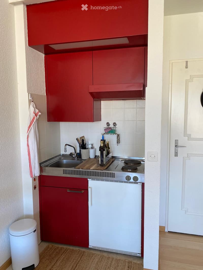 small kitchen with sink, faucet, gas stove, cabinet, dishwasher, towel, bottle, wooden floor