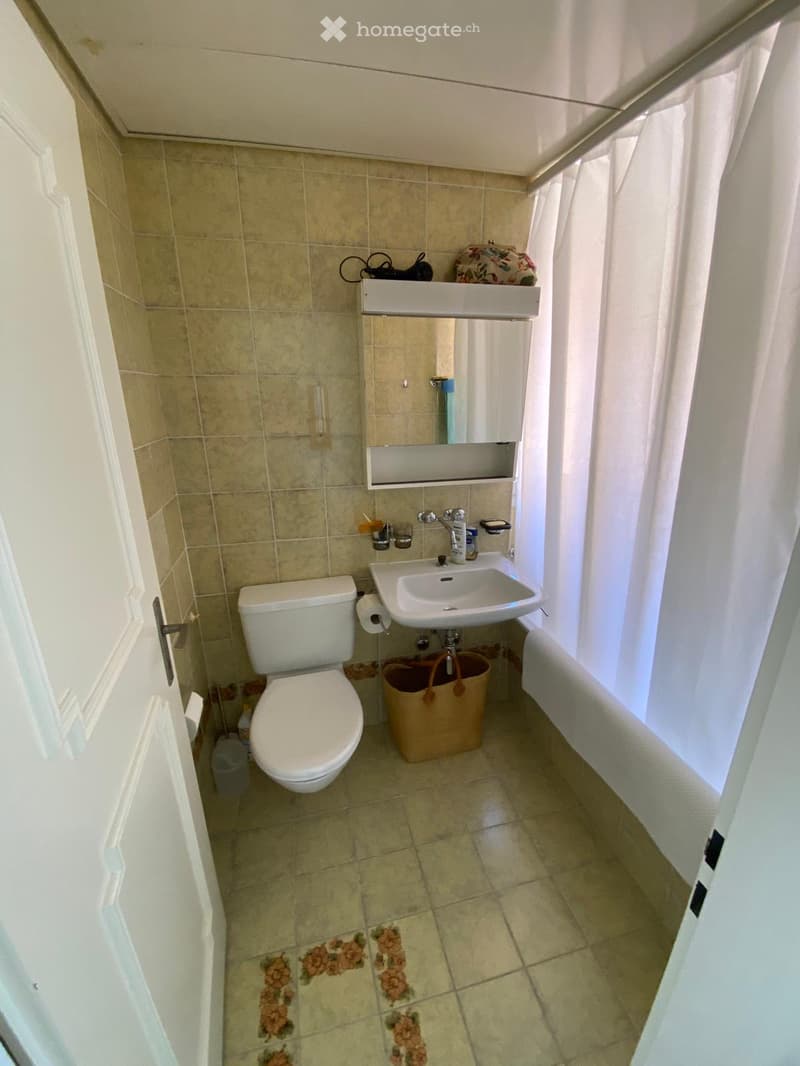 white toilet, white sink, white bathtub, mirror, shelf, roll of toilet paper, rug, door, shower curtain