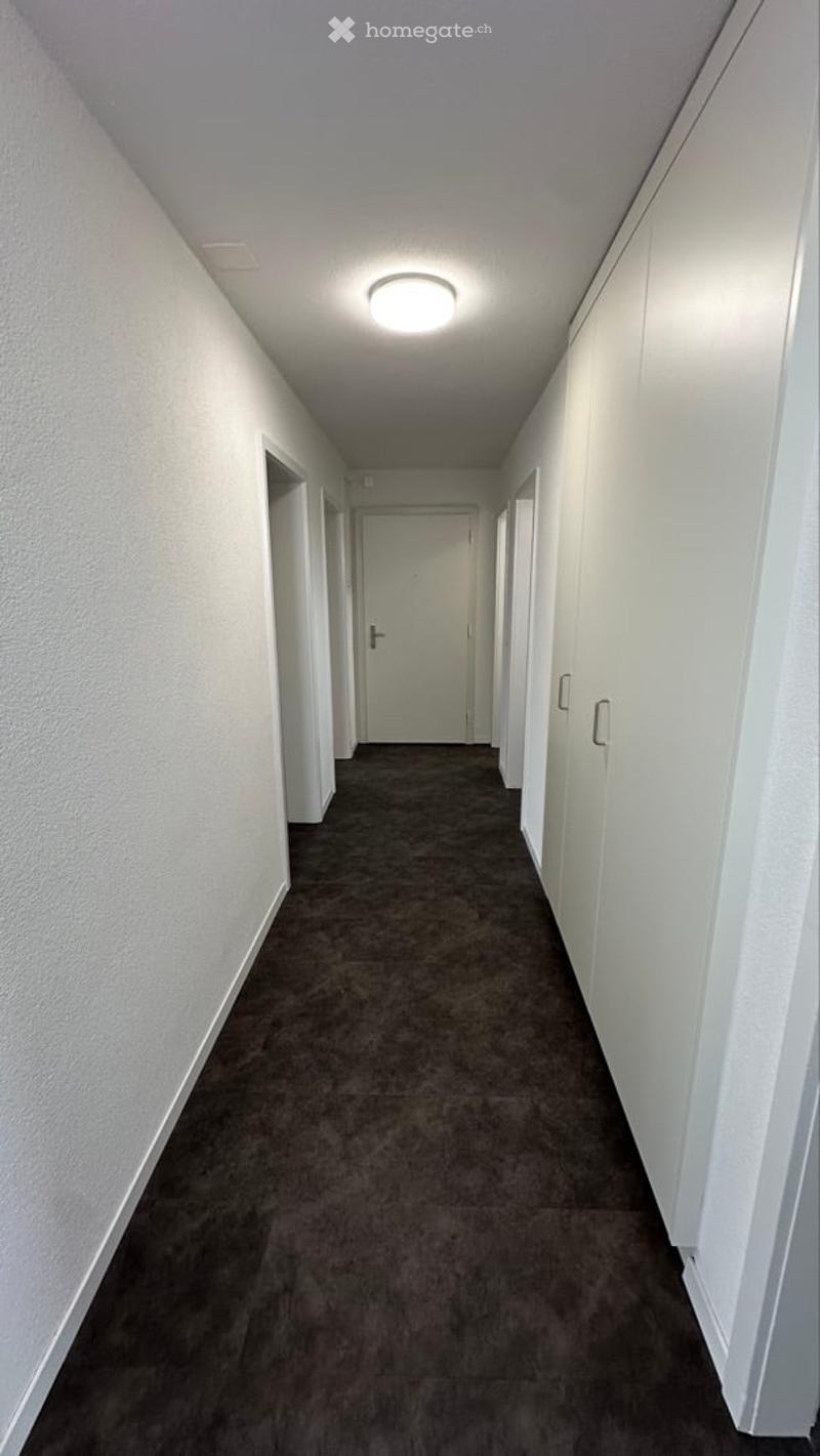 Empty hallway with white walls, brown carpet, ceiling light, white doors, white cabinets