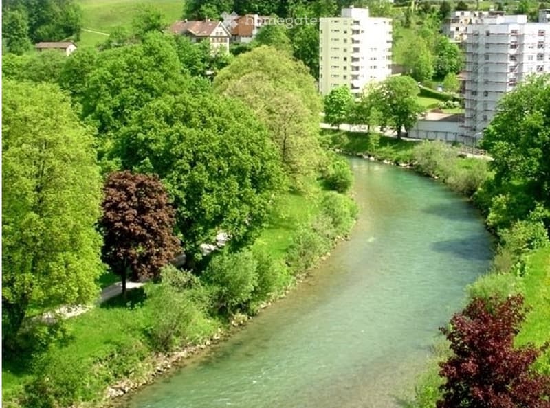 Hochwertig sanierte 4.0-Wohnung im 2. OG in Wattwil (Weitsicht) (5)