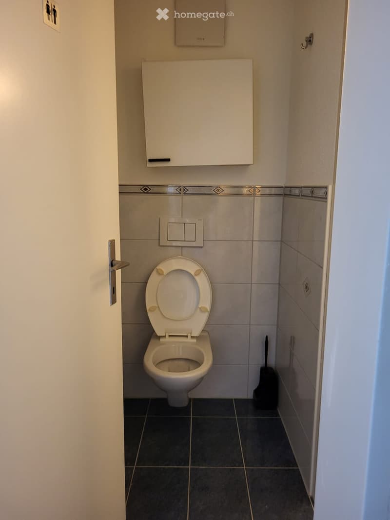 Small bathroom with a toilet, tiled walls, and a toilet paper holder. The floor is tiled in dark gray, and the walls are tiled in light gray with a decorative border. A toilet brush is placed next to the toilet.