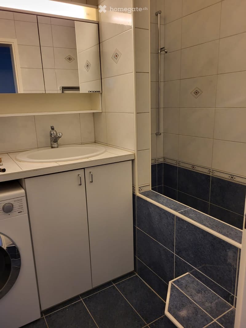 Modern bathroom with a sink, faucet, cabinet, mirror, and washing machine. The walls are tiled with a mix of light and dark tiles, and the floor is covered with dark tiles.