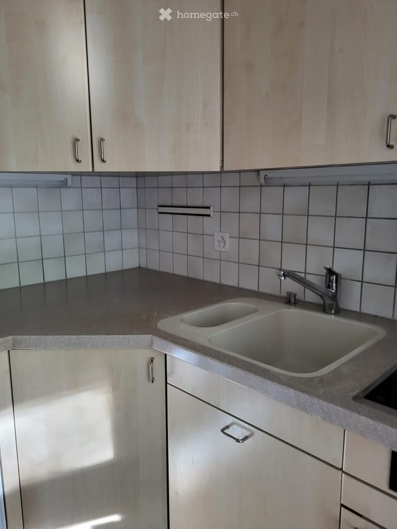 Modern kitchen with light wood cabinets, a double sink, and tiled backsplash.