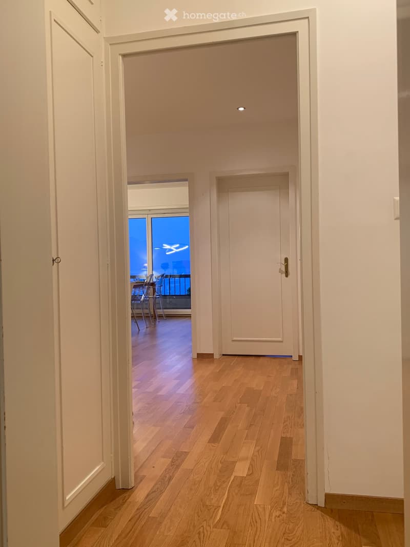 Wooden floor, white walls, balcony with a view