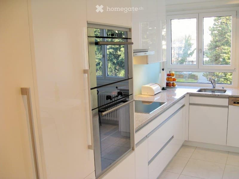 modern kitchen with white cabinets, granite countertop, electric oven, induction stove, dishwasher, sink with faucet, large windows