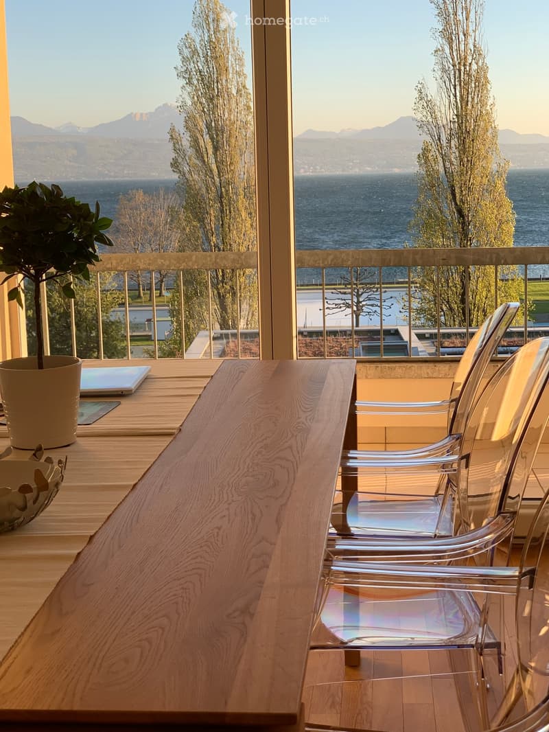 wooden table, transparent chairs, a plant, glass door, balcony, lake view, mountains
