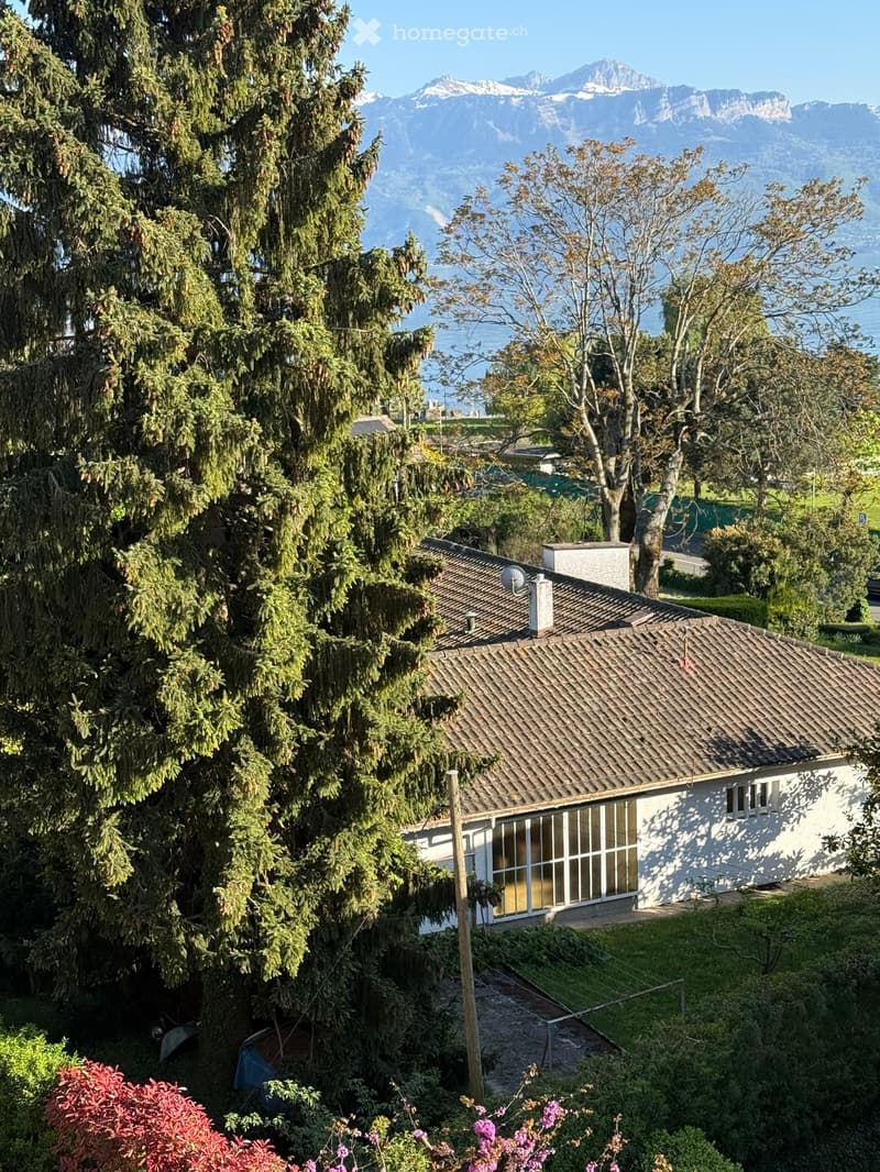 Aerial view of a white house with a brown roof, surrounded by trees and greenery, with a mountain range in the background.
