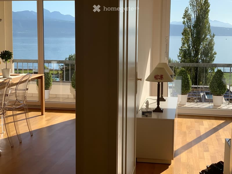 modern kitchen with view to the terrace and sea, wooden floor, large windows, tables with chairs, potted plants