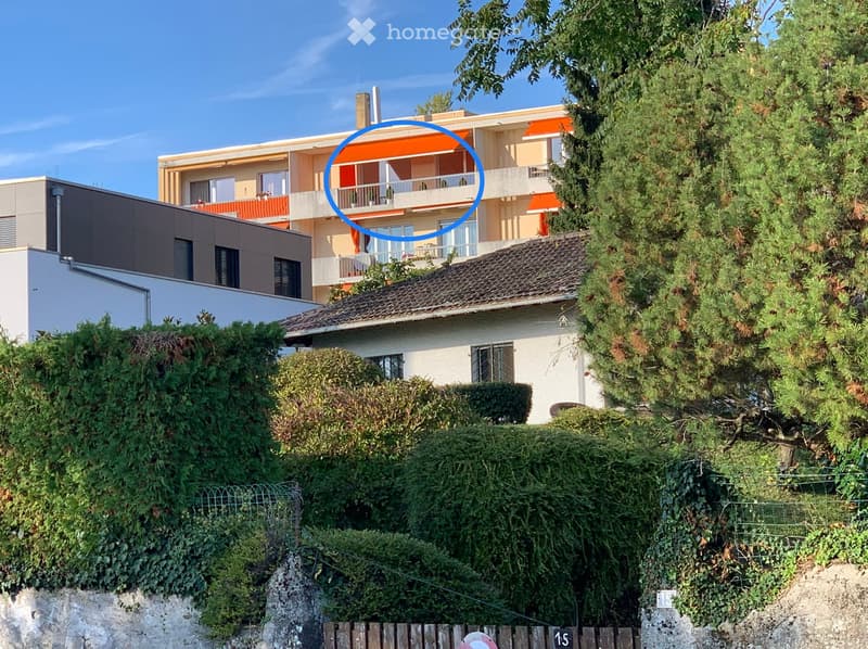 House in the countryside, white walls, tiled roof, large bushes and trees, terrace on the first floor