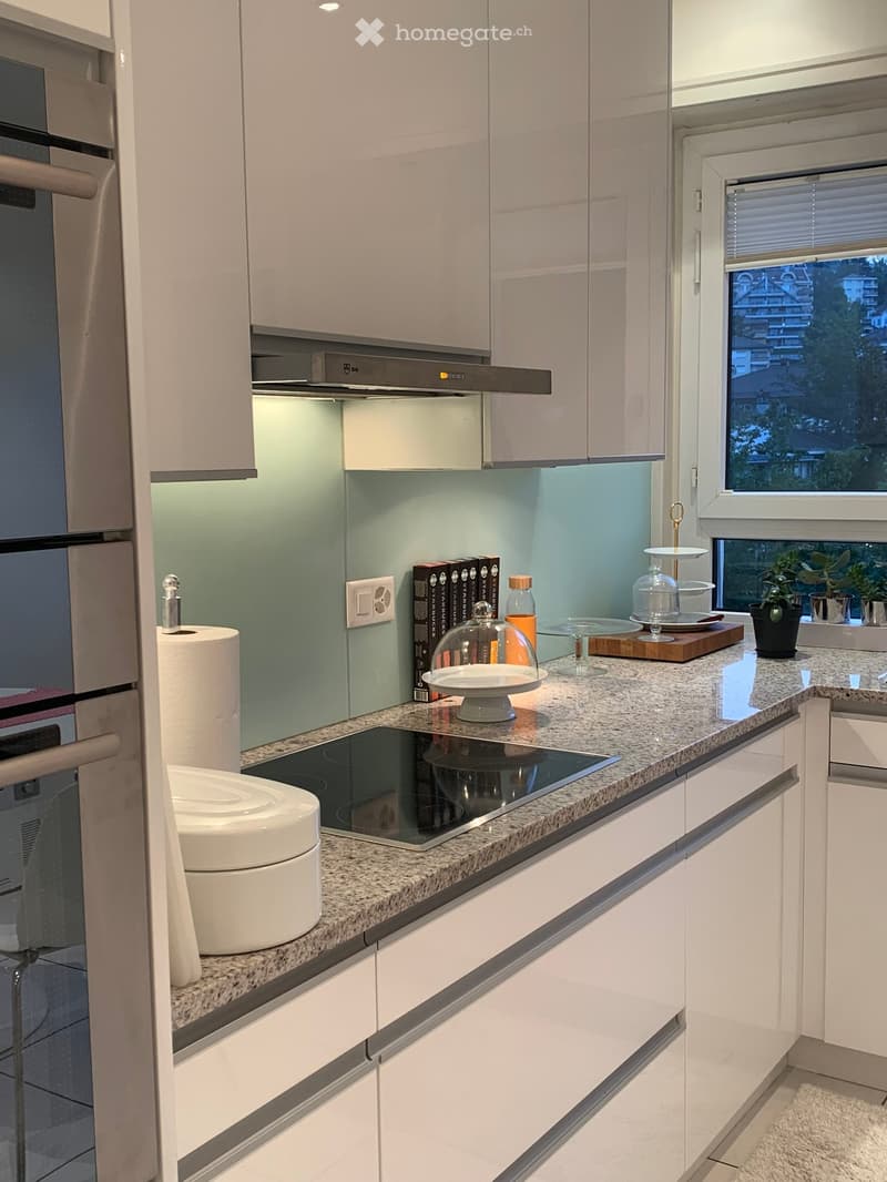 White cabinets, granite countertop, induction cooktop, stainless steel appliances, gas stove hood, modern style, open layout, wooden chopping board, small potted plants, white appliances, large window