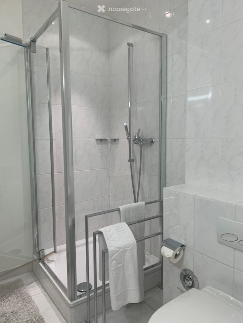 modern white tiled shower stall, towel rack, toilet bowl, marble tiles