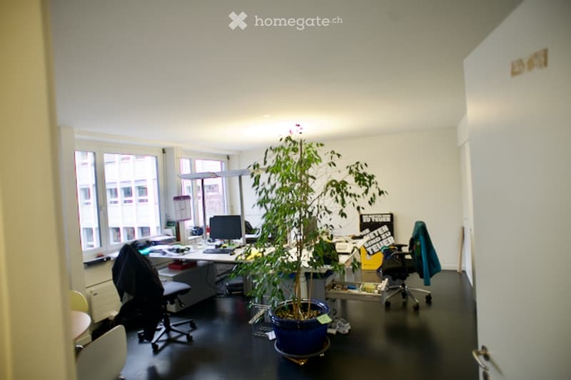 Office space with desks, chairs, computer monitors, a large potted plant, and windows.