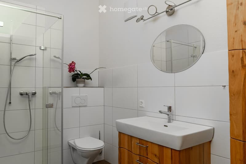 White shower, white toilet, white sink, mirror, wooden cabinet, plant, power outlet