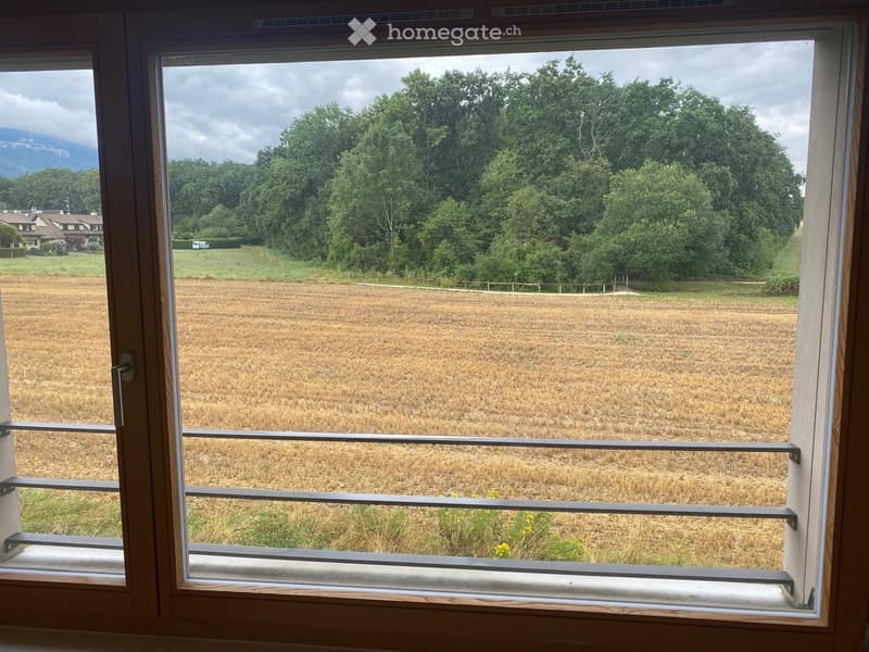 large window with view of a field and trees