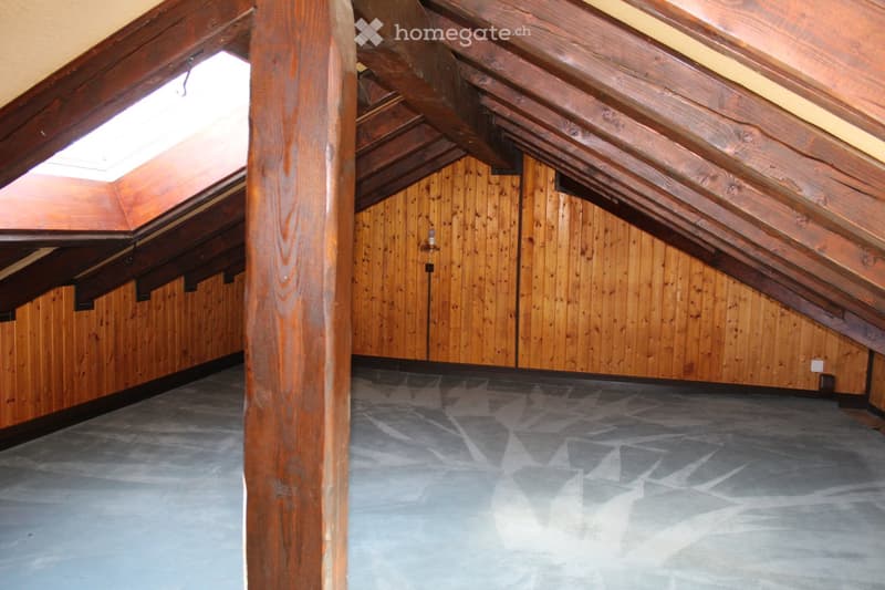 wooden walls, wooden beams, skylight, concrete floor