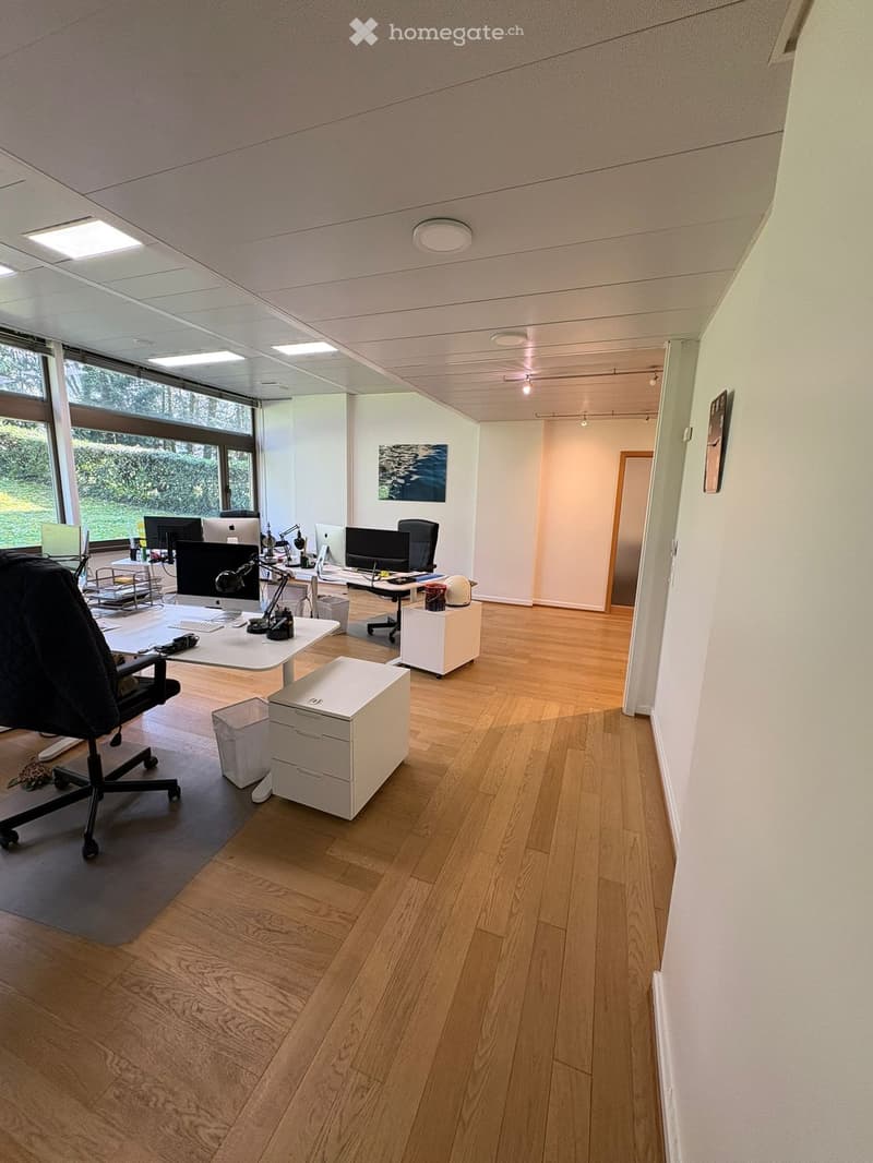 modern office with wooden floors, white walls, large windows, office desks, computers, office chairs, storage boxes, trash bins, picture frames
