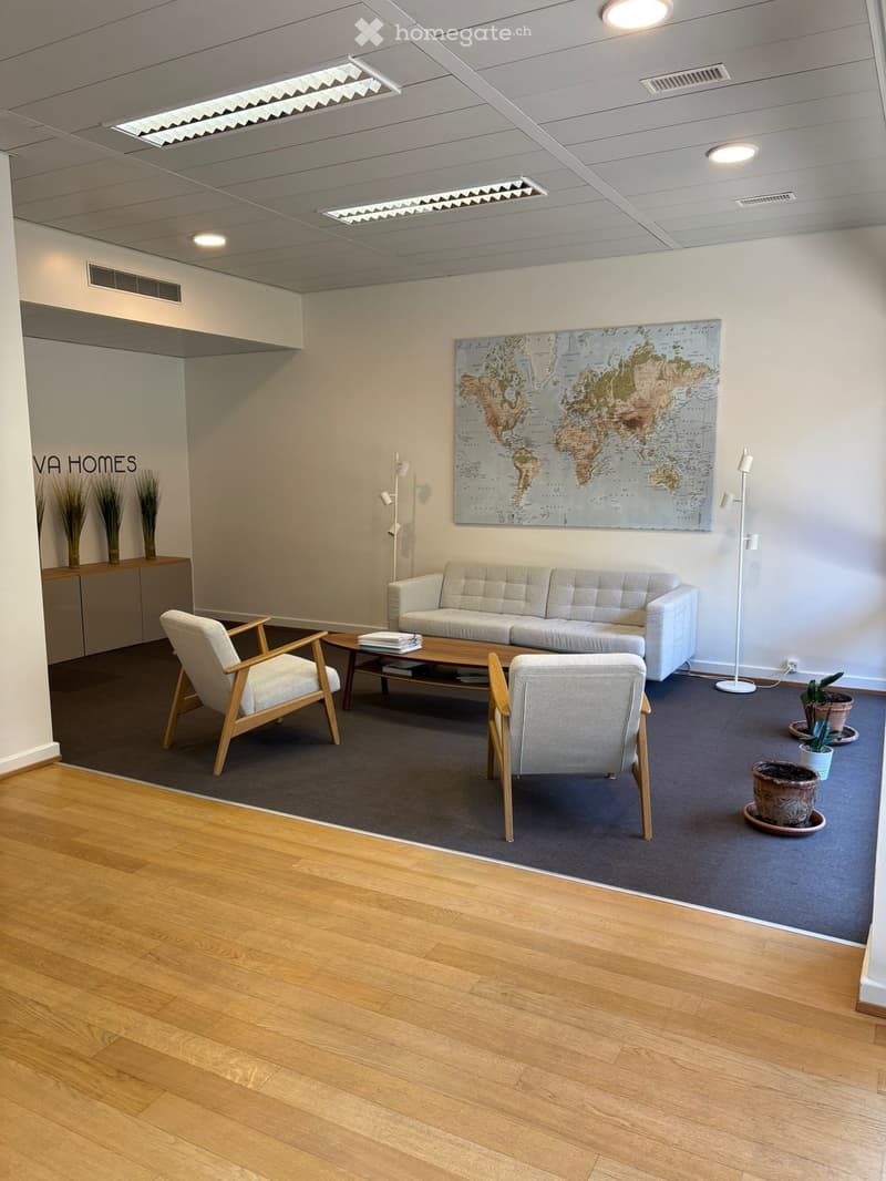 modern office with wooden floor, white walls, gray carpet, white couch, wooden chairs, coffee table, world map, potted plants