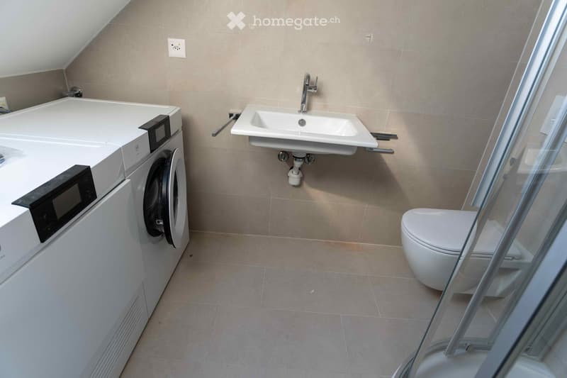 A laundry and bathroom corner with washing machine, sink, toilet and shower. Beige walls, light flooring.