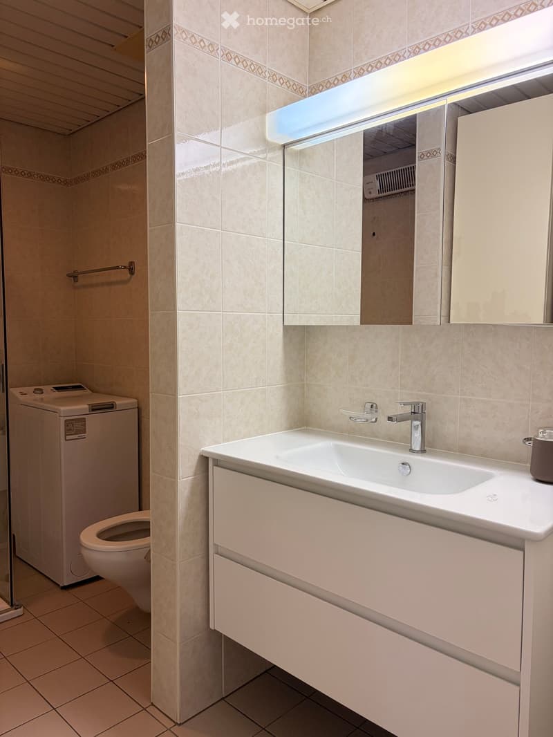 white tiled walls, white sink, white toilet, white washing machine, mirror, shower