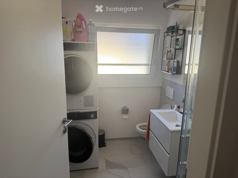 A bathroom with a toilet, sink, and washing machine.