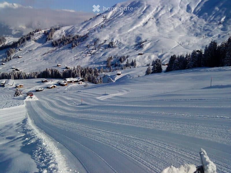 snowy mountain landscape with houses and trees