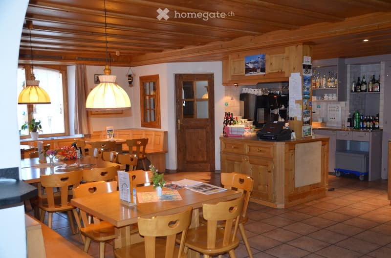 Wooden ceiling, wooden tables and chairs, wooden counter, shelves with bottles, lamps, plants, and a window with a view