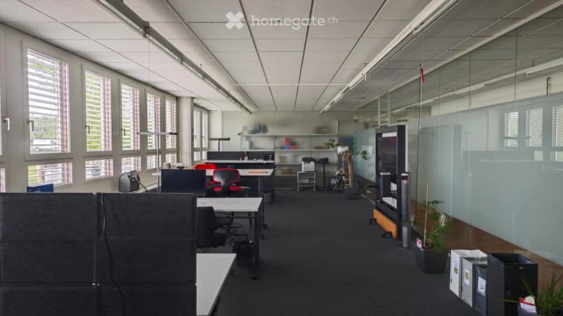 modern office space with glass walls, desks, chairs, plants, and office equipment