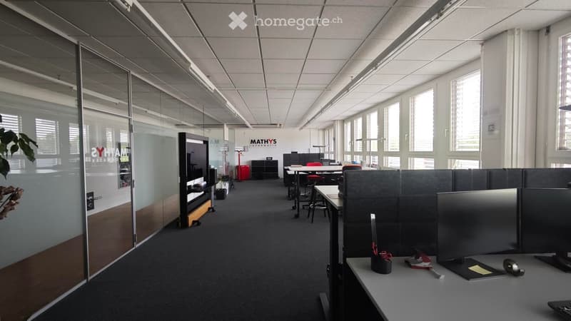 modern office space with glass walls, carpeted floor, desks, chairs, computer monitors, plants, and a television