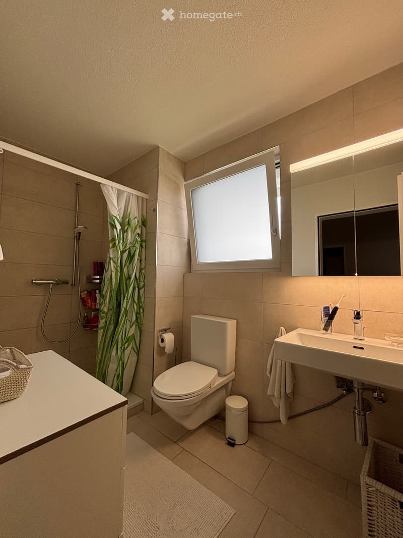 Bathroom with shower, toilet, sink, mirror, and storage shelves
