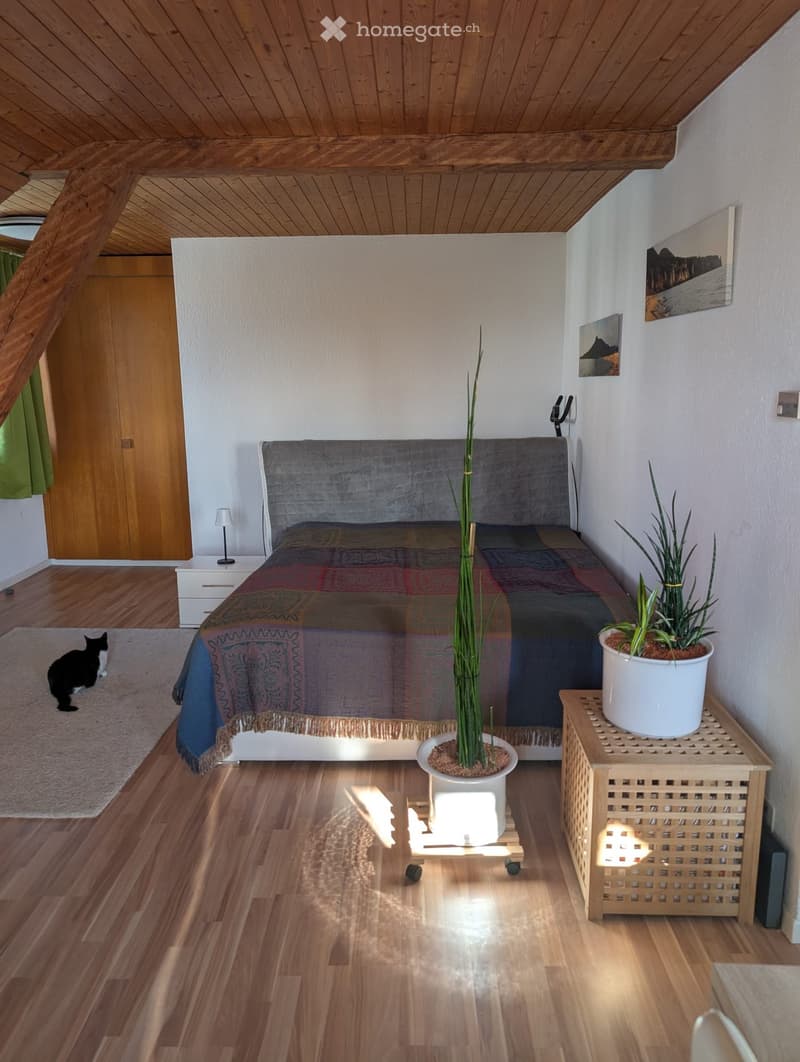 Bedroom with wooden floor, bed, nightstand, lamp, rug, wooden cabinet, wooden beams, plants, cat, paintings on wall