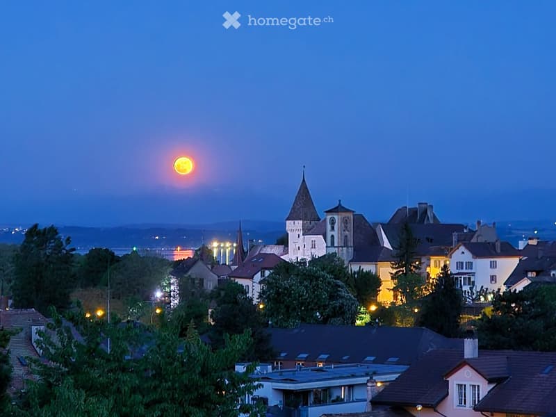 Building. A town at night with a full moon in the sky, surrounded by trees and buildings.