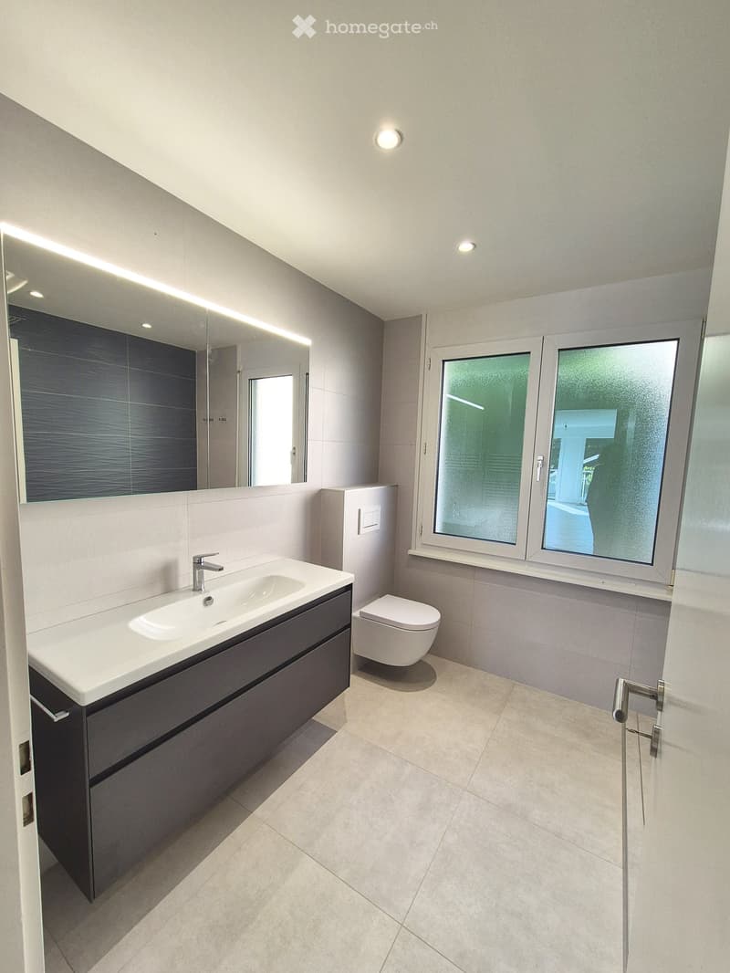 Bathroom. Modern bathroom with a white sink, dark cabinet, toilet, large mirror, and frosted glass window.