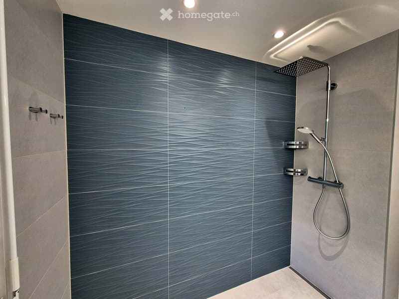 Bathroom. Modern shower area with dark grey textured tiles, a rainfall showerhead, and a handheld shower attachment.