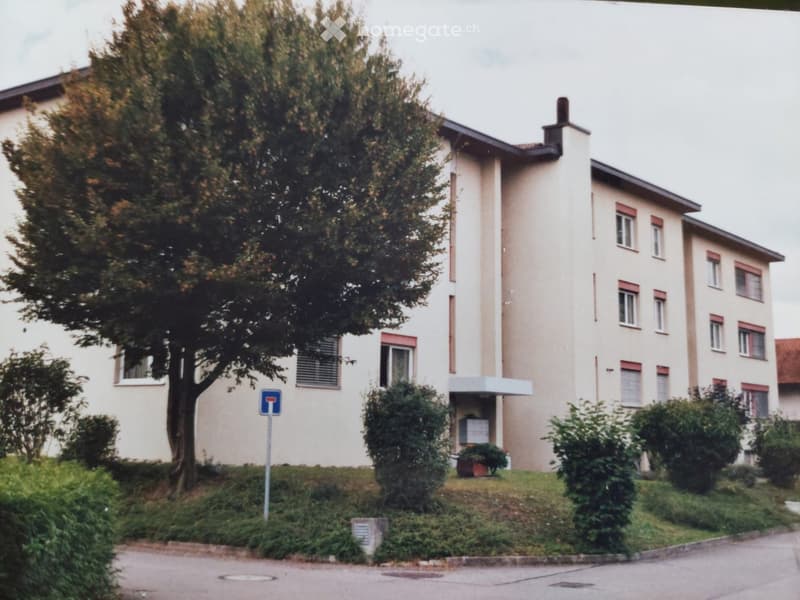 3 story building, beige exterior, multiple windows, tree in front, shrubs, paved road