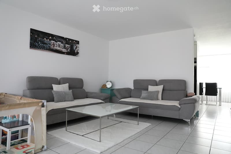 Two gray sofas, glass coffee table, white rug, decorative items, white walls, picture frame