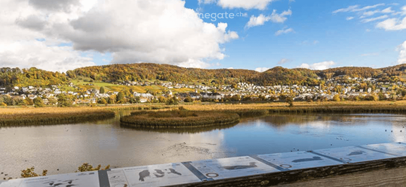lake, mountains, town, trees, sky