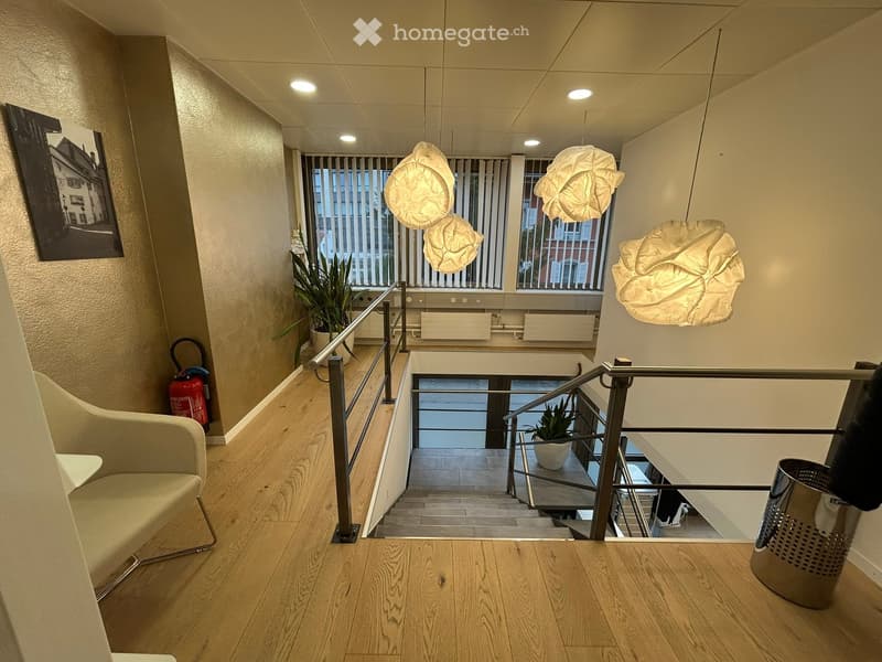 wooden floor, metal railing, staircase, hanging lamps, potted plants, fire extinguisher, picture frame