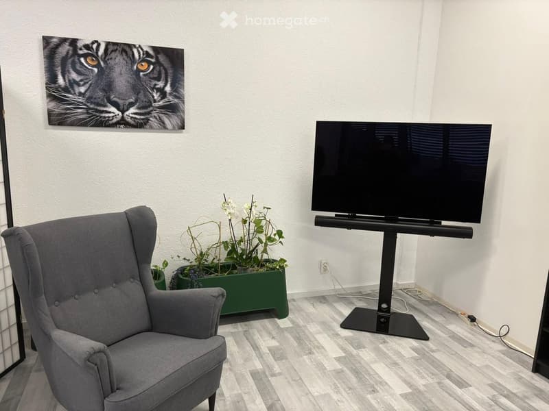 A room with a gray armchair, a flat screen TV on a stand, a tiger painting on the wall, and a potted plant.