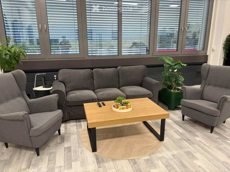 Living room with a gray couch, two gray armchairs, a wooden coffee table, a round beige rug, a potted plant on the table, and two potted plants on either side of the couch.